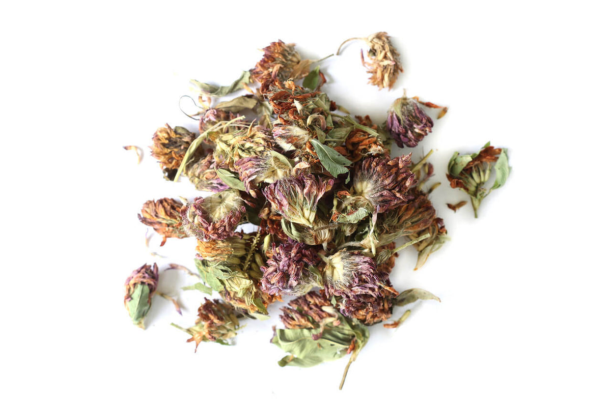 Red Clover